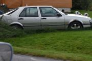 Saab? Ikke sikker på om det er en veteran, men dypere de står i gresset jo eldre er dem