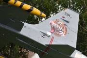 Tiger 594 heter jagerflyet