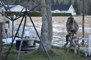 Rundtur i hagen