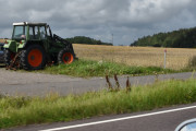 Men jeg må videre og passerer en Trima traktor, når jeg ser på registreringsnummeret så kan den ikke være norsk