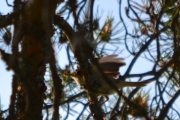 Her ble vinkelen bare så dum