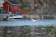 Det har jeg og du hører det!