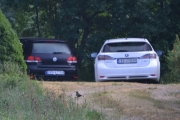 Fillern, her skulle det være en Renault og en fugl til Knut