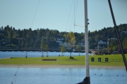 Sandvika, da begynner vi med fuglene, det er minst to sorter her. Jeg gjetter Måke og And