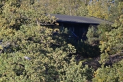 Og til slutt her også