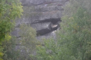 Vi kjører forbi der hvor Knut tar mange fine bilder av Ravne-unger til fuglesiden vår hvert vår
