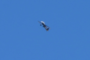 Vingespennet på dette flyet er 7,40 meter