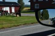 Om traktoren er gammel vet jeg ikke, men grabben er antikk det er jeg sikker på