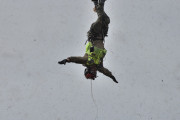 Jeg vet at vi er på flyshow, men nå ser du og komme deg opp igjen. Dette ser skummelt ut