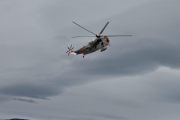 Jeg kan nok glemme Sea King med en fugl her i dag, men hjemme så har jeg mange