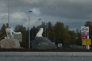 Lørdag morgen er det i hvert fall tre rever på rundkjøringen på Skarnes. Da er det en eller annen avis som har skrevet feil :-) Tenk at en ble stjålet samme helgen