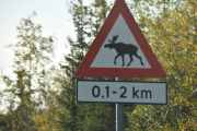 Fikk bilde av en Elg på denne turen da - Elg-skilt
