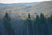 De flyr veldig lavt nå