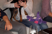 Selv inne må hunden Angel holde seg i fanget på eierne, ikke rart i dette kattehuset