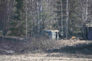 Er du nysgjerrig nok, kan du oppdage biler dypt inne i skogen. Men det er nok ingen Renault