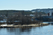 Vi har passert Skarnes nå og ser etter fugler