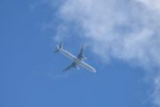 Tenk på historien når vi begynte å fly, jeg har bilder av noen av dem