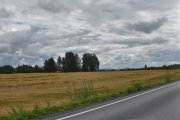 Men nå reiser jeg og ser mange fugler i luften