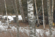 Du ser kanskje ikke denne bilen, men den ligger godt gjemt inne i skogen