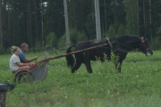 Det der vil jeg gjøre en gang også, tror du det rister veldig mye?