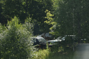 Så ser vi noen biler i skogen, jeg tror den til høyre er en Ford Granada, altså en veteran