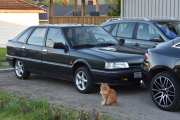 Skogkatten Pondus må være igjen å passe på bilene, men vi blir ikke så lenge borte
