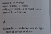 Utover kvelden så har vi litt språkproblemer, men vi har hjelpemidler som løser disse problemene