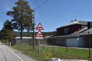 Jeg passerer Bruvoll fengsel som ikke er et fengsel lenger, det ble solgt i begynnelsen av 2021 etter å ha blitt lagt ned for to år siden. Men nå skal vi se på kuer og sauer langs veien, jeg gleder meg