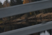 Her nede bor det en Bever, jeg tok bilde av den sist