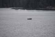 Og på kvelden kan du fange Edelkreps, men det skal ikke vi nå. Men jeg har et bilde fra 2016 hvor vi fanget Edelkreps