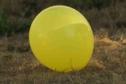 Knut 26 juli 2018 - Gaffel på ballong, jaggu er han kreativ