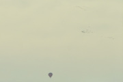 Morten 13 oktober 2019 - LN-CST over Oslo. Kjører på E6 retning Oslo og ser samtidig flere flokker med fugler over luftballongen