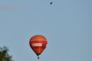 Morten 14 august 2019 - LN-CST over Høyenhall, dette er kun for å imponere Knut