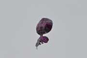 Morten 27 august 2022 - Heliumballong over Høyenhall, den bare dukket opp, men jeg tror den kom fra Oslofjorden et sted