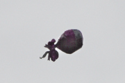 Morten 27 august 2022 - Heliumballong over Høyenhall, da går jeg ut ifra at den ikke er radiostyrt