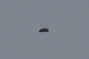 Morten 27 juni 2022 - Heliumballong over Høyenhall, den kommer fra øst, sånn ca. fra Nordstrand