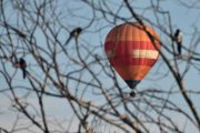 Morten 7 september 2025 - LN-CST over Høyenhall, så fikk vi med noen fugler igjen, denne gangen er det tre skjærer