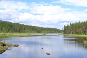 Magnesåa