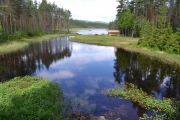 Vi snur oss og ser mot tjernet igjen, en gapahuk er det også der