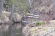 Ja her ser jeg tydelig krusninger på vannet
