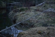 Her satt jeg mange minutter og ventet til jeg hørte noe, ble det noe - nei