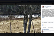 1 april 2019 - Knut la denne på Facebook i dag