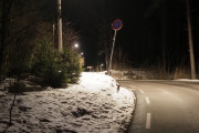 Knut 10 februar 2021- Det er ikke uvanlig at han ser Elgen i Maridalen