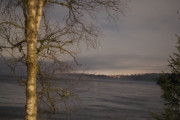 Knut 23 januar 2021 - Maridalen en lørdagskveld