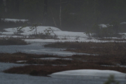 Knut 28 april 2019 - Rypetjern, men det var en fin stemning der da som er hans egne ord