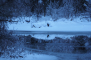 29 desember 2018 - Vi får oppleve en soloppgang ved Dausjøen, alt speiler seg i vannet