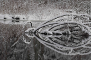3 desember 2018 - Tøft speilbilde fra Dausjøbrua