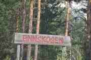 Vi er fremdeles i Finnskogen ser jeg
