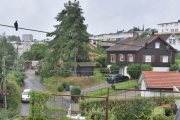 Morten 26 juli 2024 - 6 Byduer på Høyenhall, sitter dem rolig nå så skal vi ta en titt på dem alle