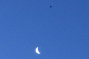 Morten 29 november 2021 - En fugl og månen, jeg tror det er en Kråke, men det er tidlig om morgenen